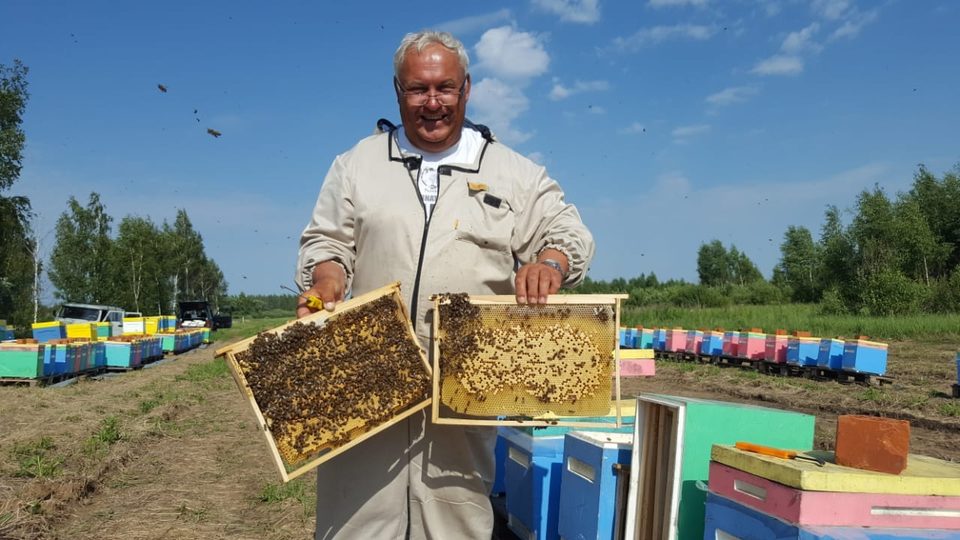 Пасечник показывает рамки с расплодом